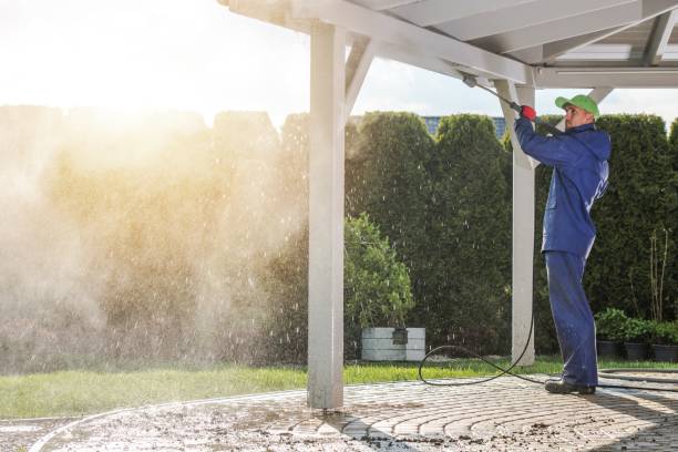 Best Sidewalk and Walkway Cleaning  in Panthersville, GA
